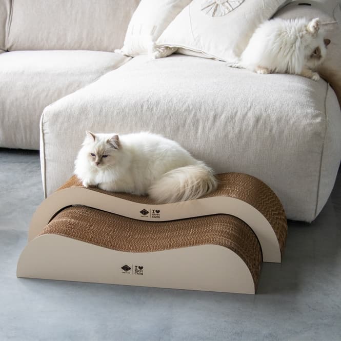 D&D Kratzwelle Archie zweiteilig - braun/beige — foto 4